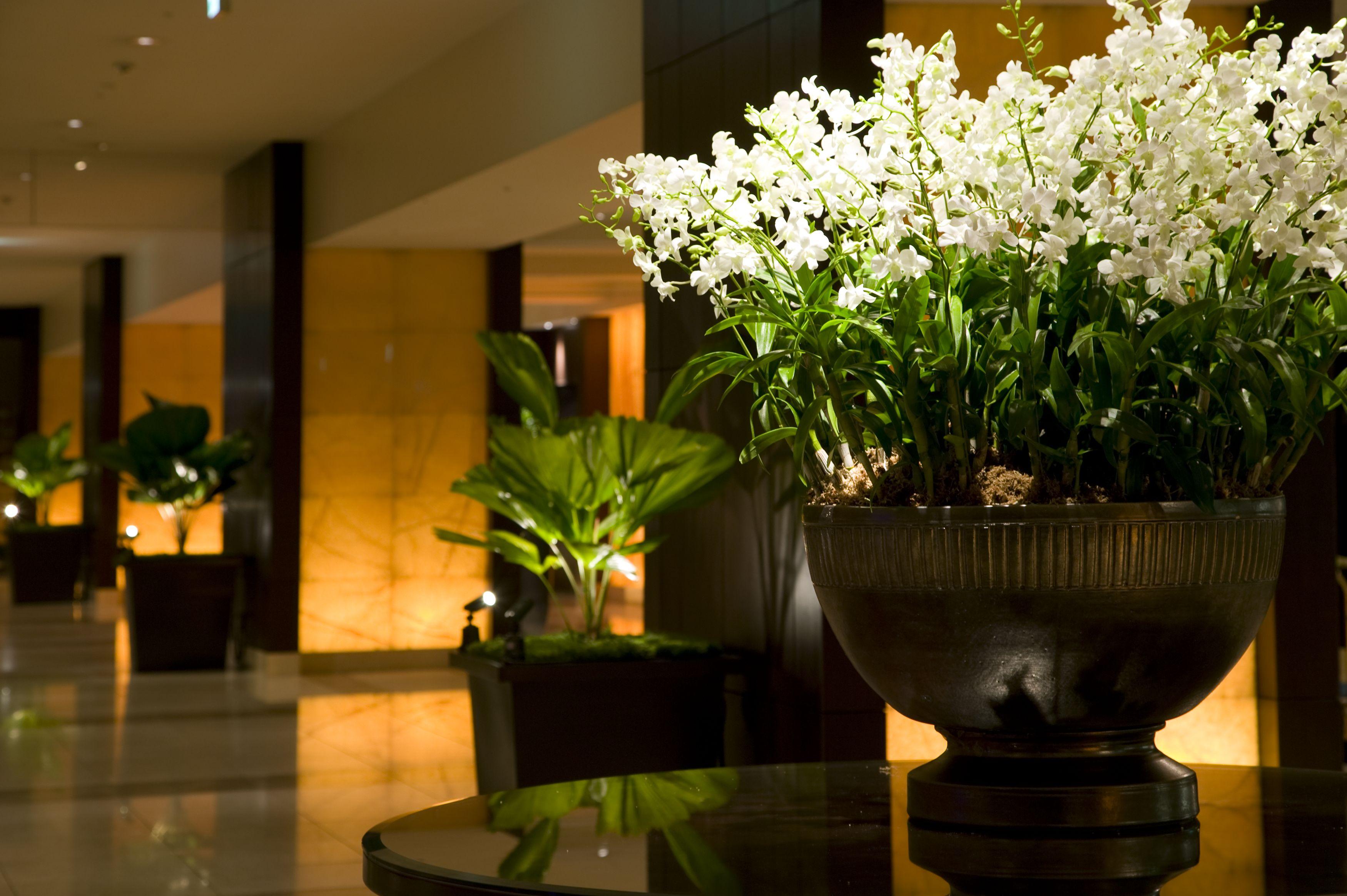 Sheraton Miyako Hotel Osaka Buitenkant foto